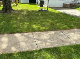 Paula W.'s Lawn Care service result