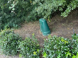 Leaf Removal by Michael Flynn for George H. in League City, TX