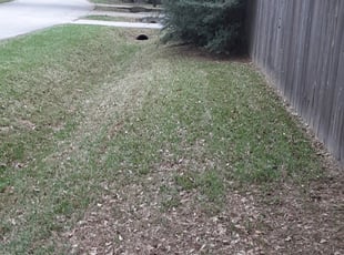 Leaf Removal by Randy Jordan for Tony T. in Spring, TX