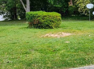 Bush Trimming by Arey Cooper for Casey J. in Riverdale, GA