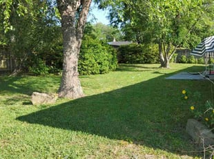 Nick M.'s Lawn Care service result