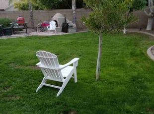 Cleanups by Antonio Sanchez for Jessica G. in Mesa, AZ