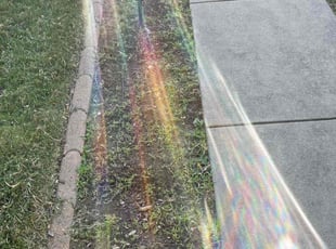 Weeding by Eugenio Pérez for Naveed C. in Denver, CO