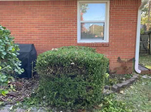 Bush Trimming by Joey Handley for Barbara A. in Tulsa, OK