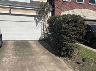 Bush Trimming by Jeff Templeton for Adam B. in Houston, TX