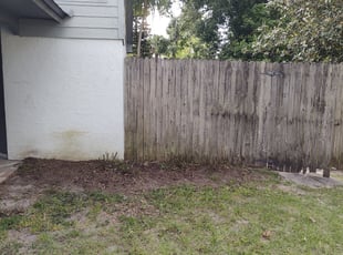 Bush Trimming by Robby Freedman for Joseph S. in Casselberry, FL