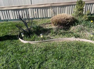 Bush Trimming by Emanuel Riak for Paul C. in West Jordan, UT