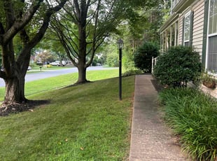 Tye W.'s Yard Cutting service result