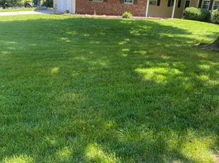 Daniel C.'s Lawn Service service result