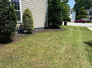 Leaf Removal by Devin Lynn for Smith M. in Apex, NC