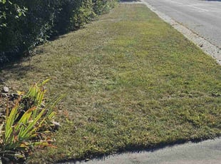 Kristin R.'s Lawn Mowing Service service result