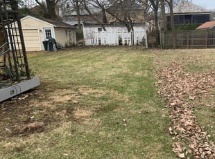 Leaf Removal by Jon Race for Stephanie B. in Cincinnati, OH