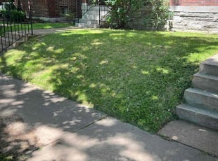 Kyle C.'s Lawn Mowing service result