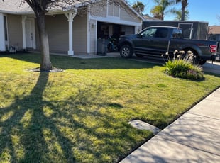 Bush Trimming by Fatima Sevillano for john g. in Menifee, CA