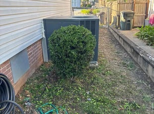 Bush Trimming by Vitaliy Brylev for Tammie W. in Monroe, NC