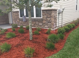 Mulching by Charleyne Brown for Tom w. in Ponte Vedra Beach, FL