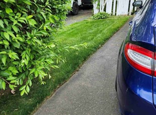 Bill. S.'s Lawn Mowing service result