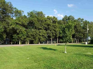 Mareka S.'s Lawn Maintenance service result