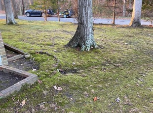 Leaf Removal by Reginald Jones for Linda W. in Hopewell, VA