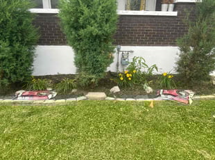 Weeding by Cheyenne Osuala for Emerson C. in Louisville, KY