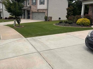 Tyrone H.'s Lawn Mowing service result