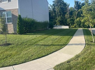 Carl S.'s Lawn Mowing service result