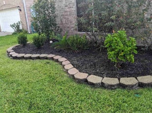 Weeding by Yanet Maciel for Dennis M. in Pearland, TX