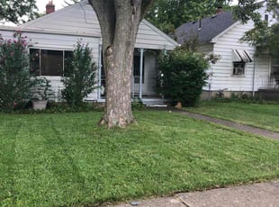 William B.'s Grass Cutting service result