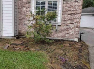 Bush Trimming by Randy Jordan for Lona M. in Spring, TX
