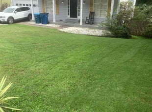 Troy G.'s Lawn Service service result