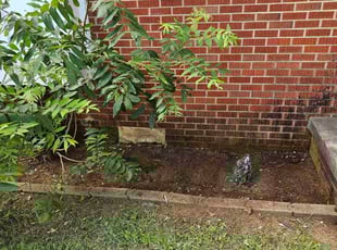 Weeding by Freddie Ottens for Makailah S. in Warr Acres, OK