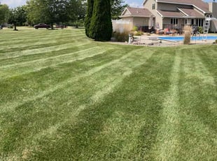 D'Ann C.'s Lawn Service service result