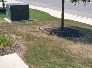 Cleanups by Jose Moreno for Erick L. in Von Ormy, TX