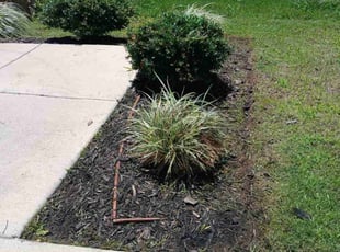 Weeding by Valente Alvarado for Joe P. in The Colony, TX