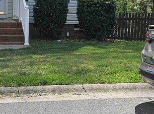 Bush Trimming by Eric Stith for Laura E. in Richmond, VA
