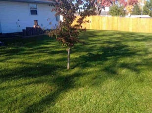 Ame D.'s Lawn Service service result