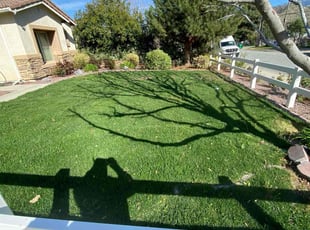Sheri W.'s Lawn Care service result