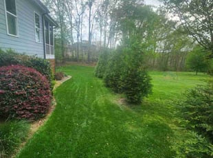 Vincenetta p.'s Grass Cutting service result