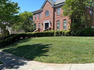 Jay D.'s Grass Cutting service result