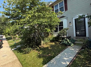 Bush Trimming by Samuel Jordon for Krystal M. in Catonsville, MD