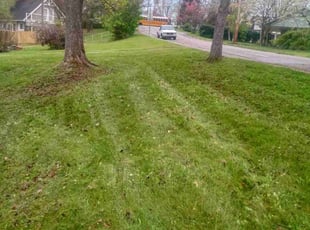 Bruce H.'s Yard Cutting service result