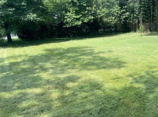 Sara N.'s Lawn Mowing service result