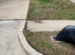 Leaf Removal by Nelson Rhoades for Sara E. in Fort Worth, TX