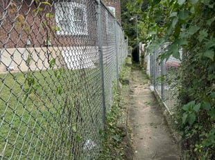 Bush Trimming by Norberto Soto for Alisha M. in Philadelphia, PA