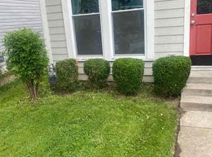 Bush Trimming by Jacquel Johnson for Angela L. in Louisville, KY