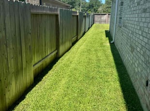 Steve P.'s Lawn Mowing Service service result