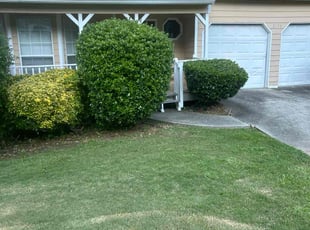 Bush Trimming by Chrishun Webber for Toshuna H. in Marietta, GA