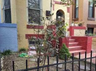 Bush Trimming by Jose Paz for Kim M. in Washington, DC