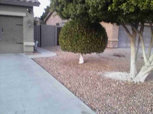 Bush Trimming by Antonio Sanchez for Jessica G. in Mesa, AZ