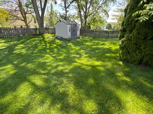 Jeanette D.'s Lawn Maintenance service result